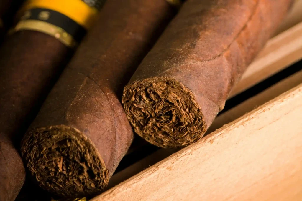 Corte preciso de la perilla de un Habano con guillotina de doble hoja para asegurar un tiro perfecto.