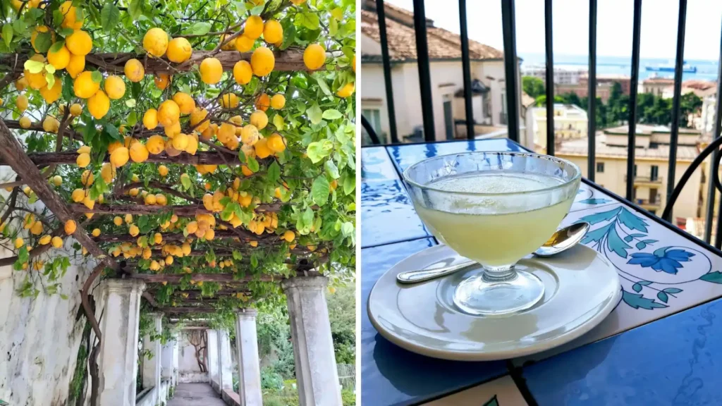 Limoncello y tisana en el Giardino della Minerva, Salerno; experiencia gastronómica botánica en el centro histórico.