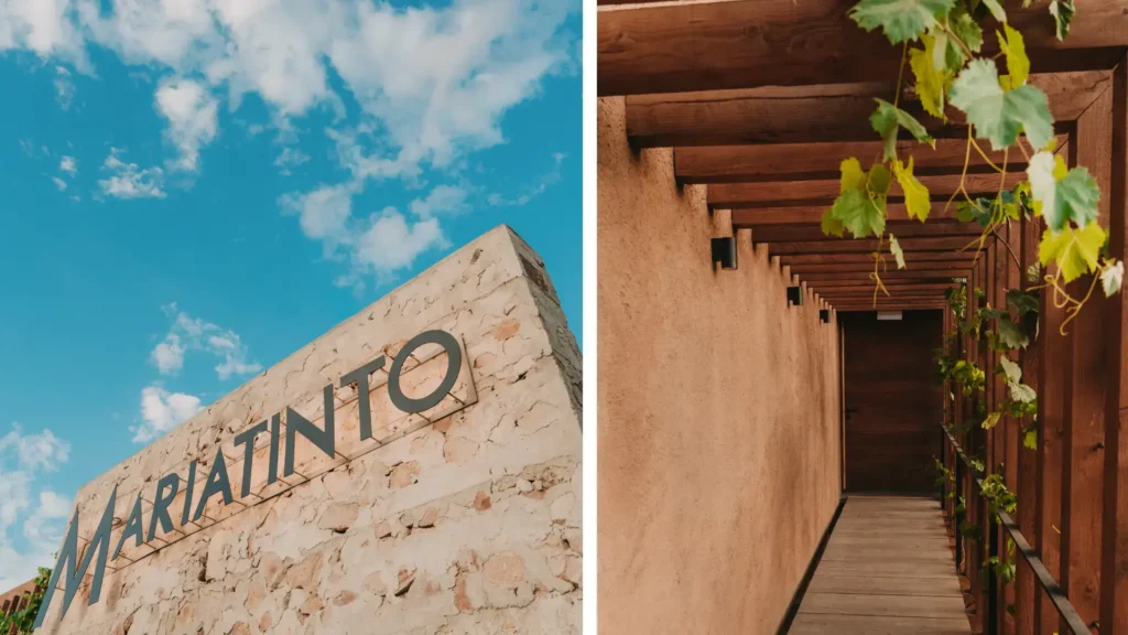 Fachada de piedra con el letrero de Mariatinto y corredor exterior con pérgola de madera y vegetación en Valle de Guadalupe.